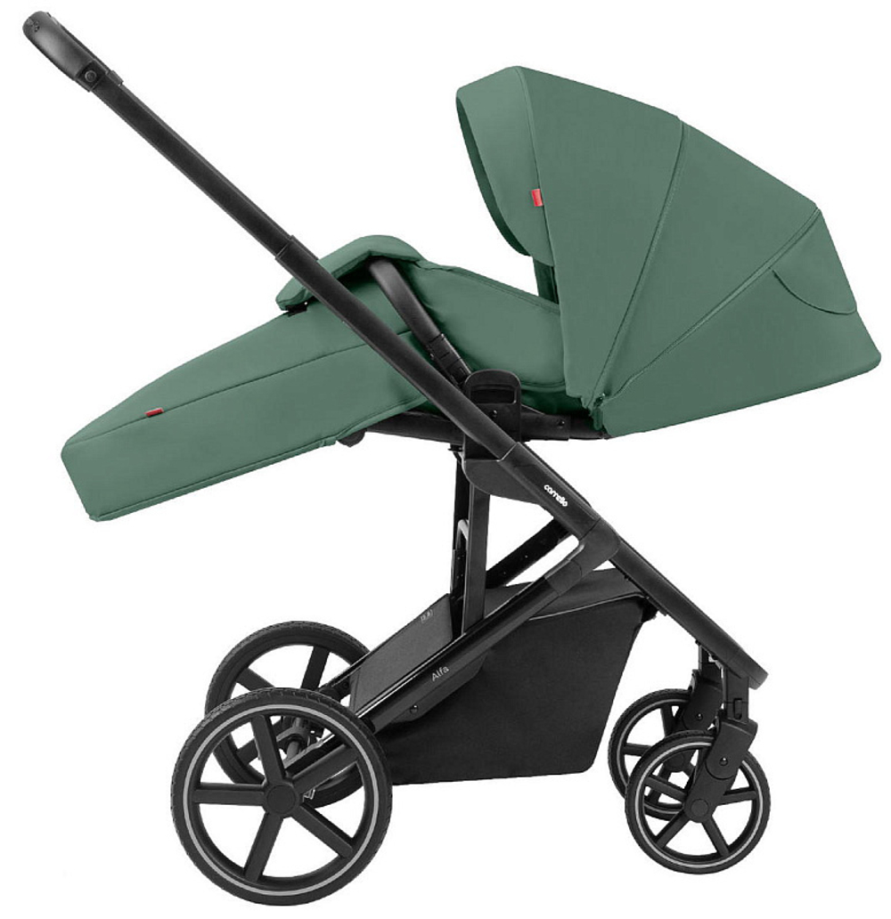 Коляска 2 в 1 Carrello Alfa 2025 CRL-6522 Meadow Green