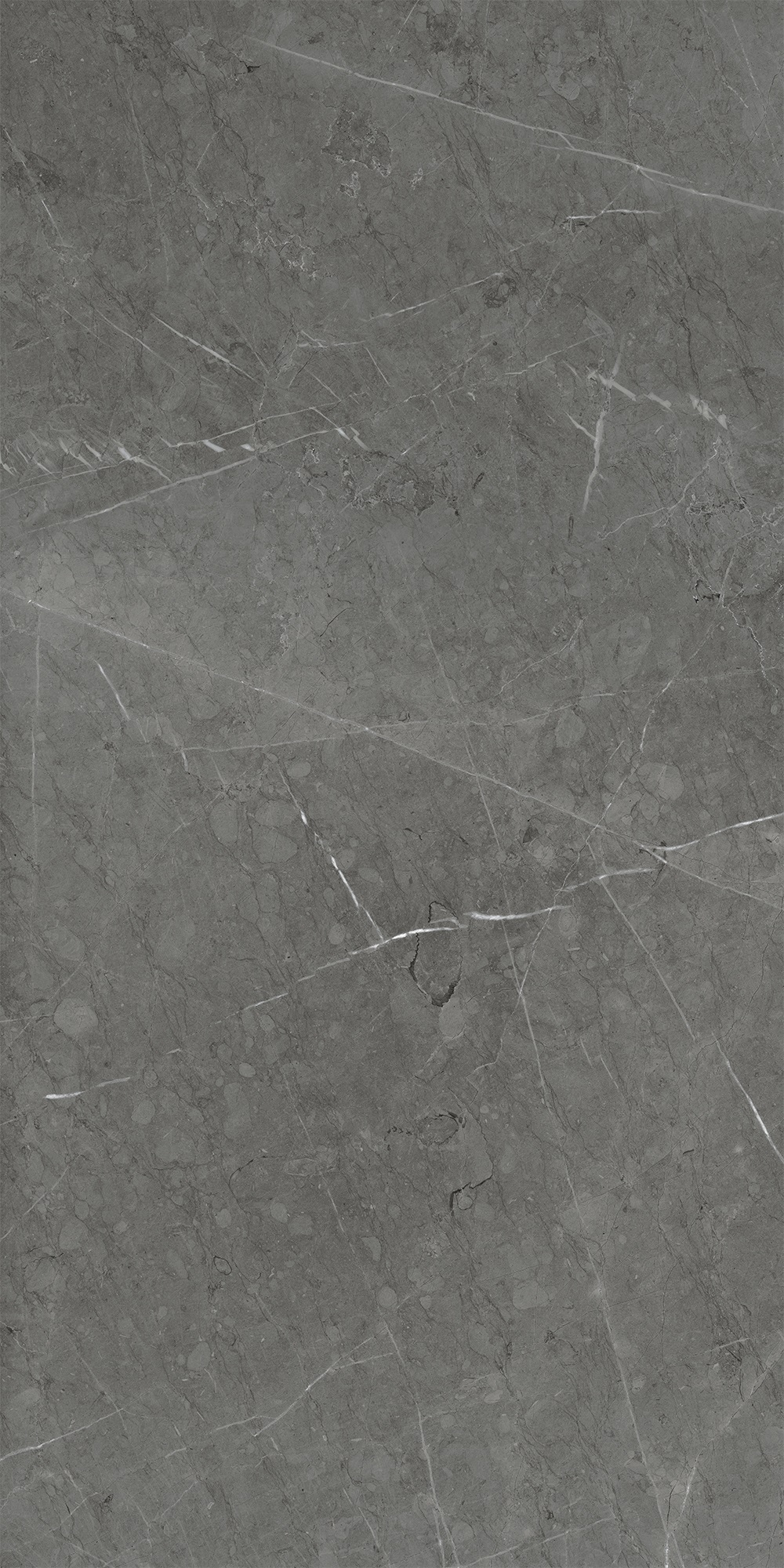 SKALA DARK GREY (СКАЛА ДАРК ГРЕЙ ) 600*1200 керамогранит матовый