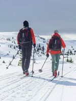 Лыжный рюкзак Madshus Race Day Backpack 40л