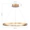 Подвесной светодиодный светильник ST Luce Parilla SL6238.333.01