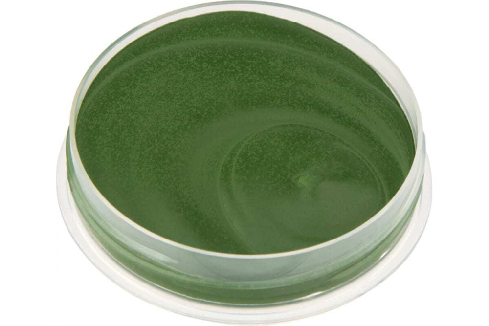 Паста полировальная ГОИ (30 гр) REXANT 09-3790