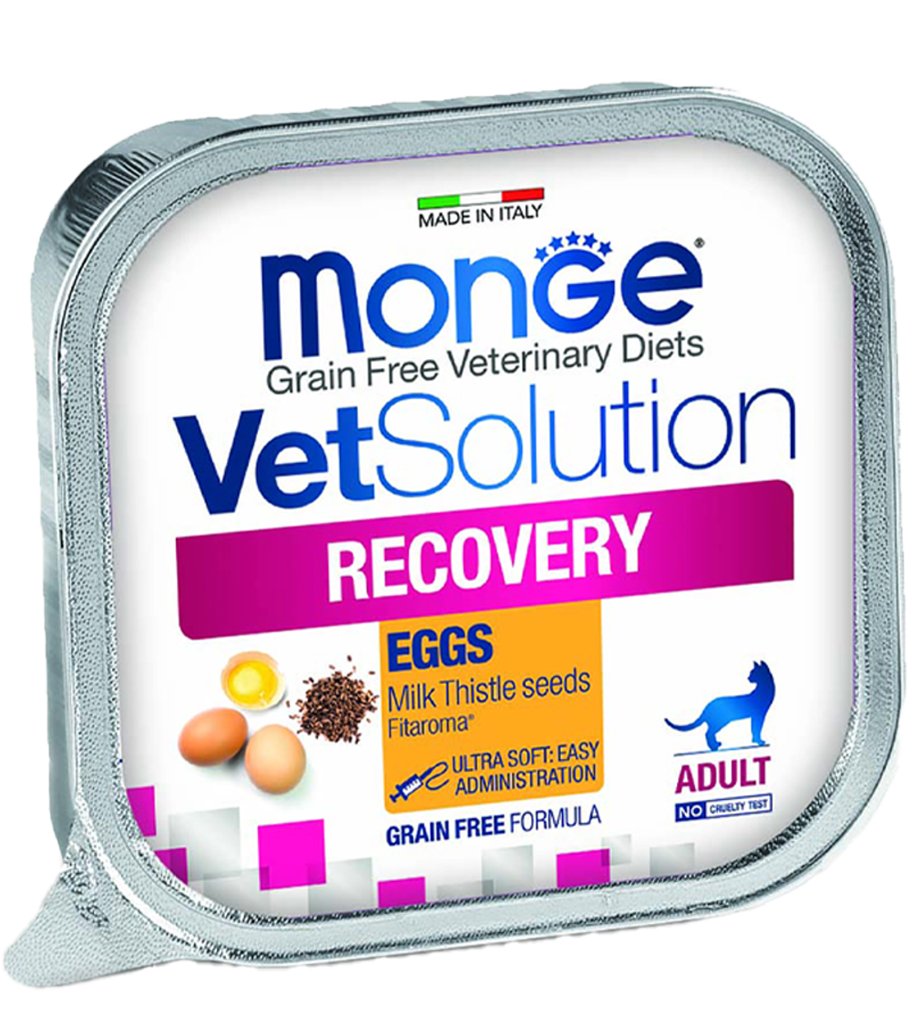 Monge VetSolution Cat Recovery для кошек при восстановлении питания 100гр