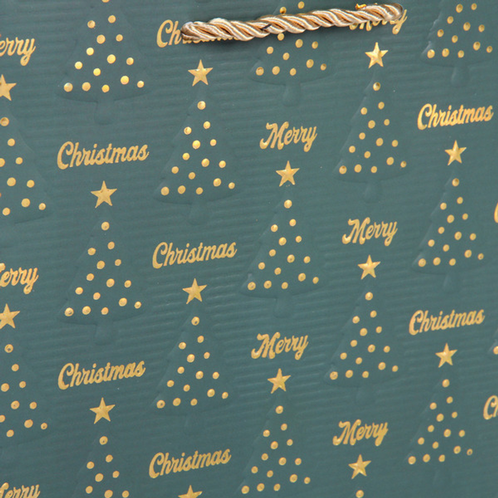 Пакет подарочный «Волшебный лес» 18*23*8 см, микс