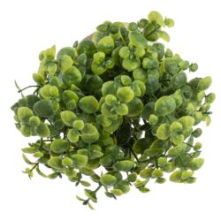 GAEM Цветочная композиция, L8 W8 H23 см