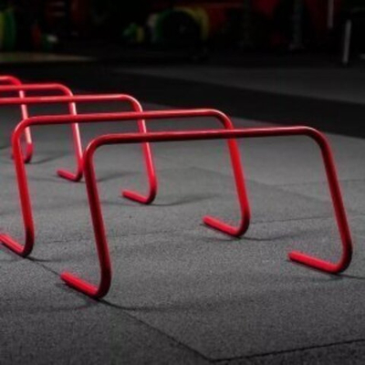 Барьеры 22.5 см, 6шт