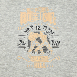 FH-10274BN Толстовка OLD SCHOOL BOXING серая