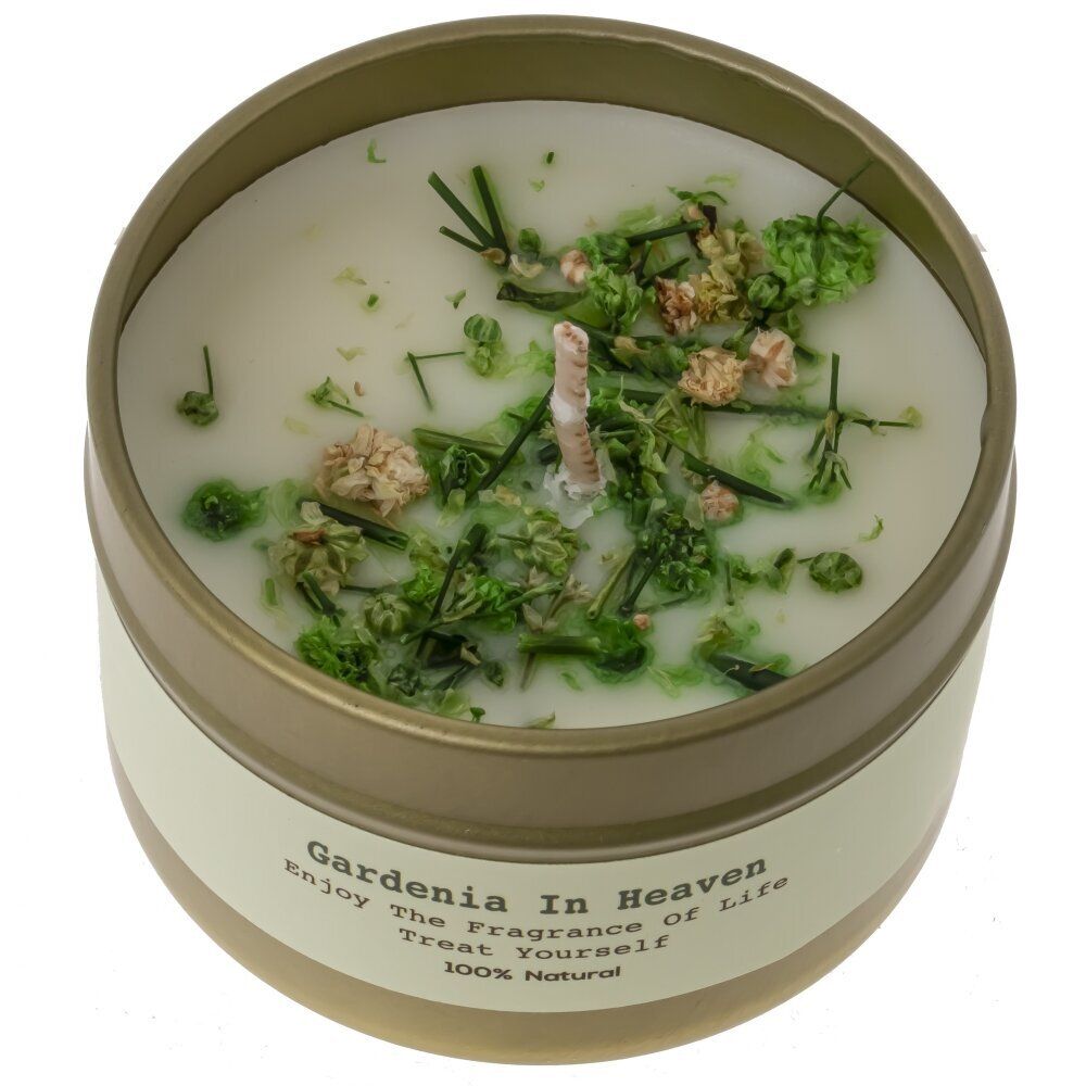 GAEM Свеча ароматическая (блок микс 4шт), D6 см, L6 W6 H4 см, 4в.