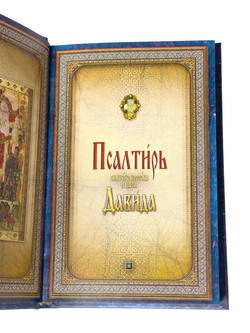 IMG_9014-PhotoRoom.png-PhotoRoom