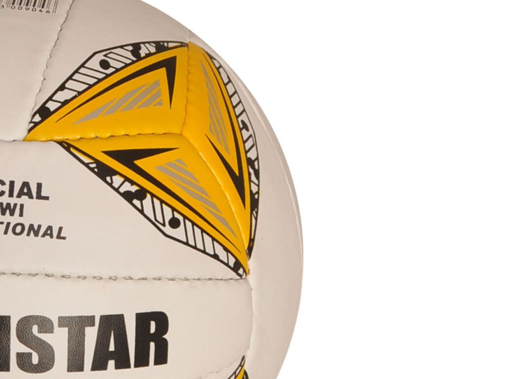 Волейбольный мяч #00904