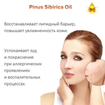 Масло кедрового ореха / Pinus Sibirica Oil