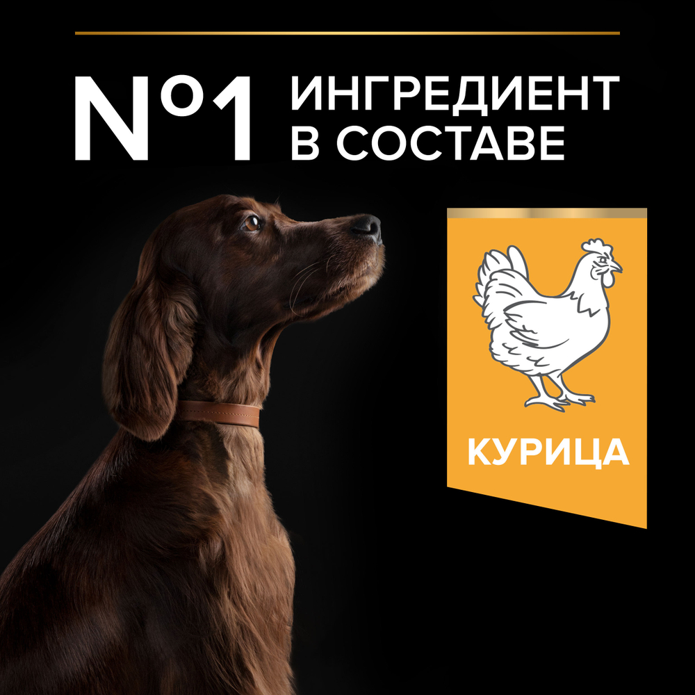 Сухой корм PRO PLAN EVERYDAY NUTRITION для взрослых собак крупных пород с атлетическим телосложением курица 14 кг