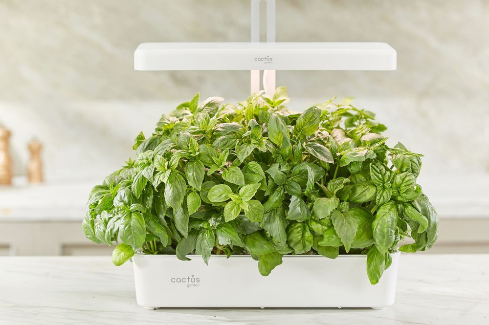 Гидропонная установка  Cactus CS-LEDPOT-10