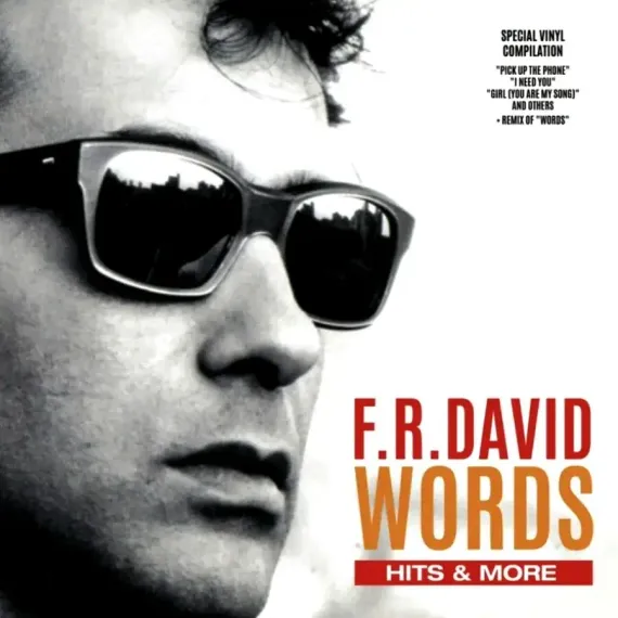 F. R. David - Words Hits & More LP