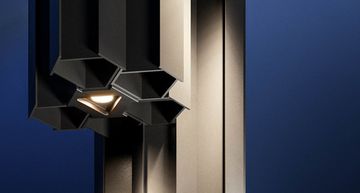 THE FLUTES DORIAN ARRAY