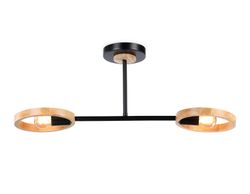 Ambrella Подвесной светильник со сменной лампой Loft TR8244