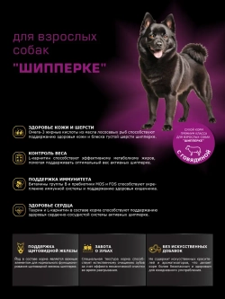 Корм сухой для собак породы Шипперке, с говядиной, 12 кг