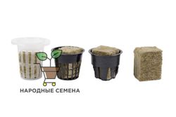 Кубики агроваты под салатный стаканчик