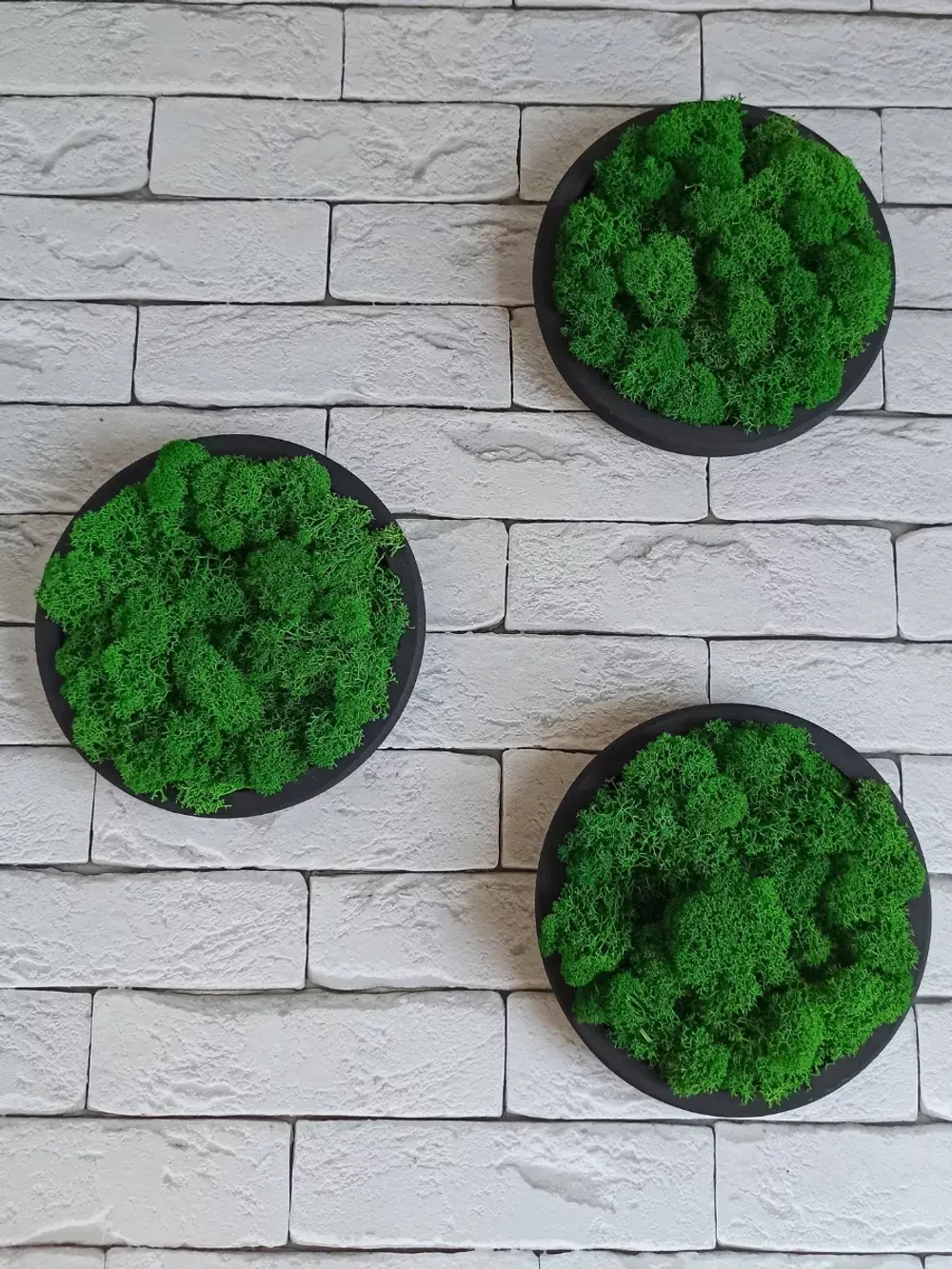 Панно из мха набор 3 шт.