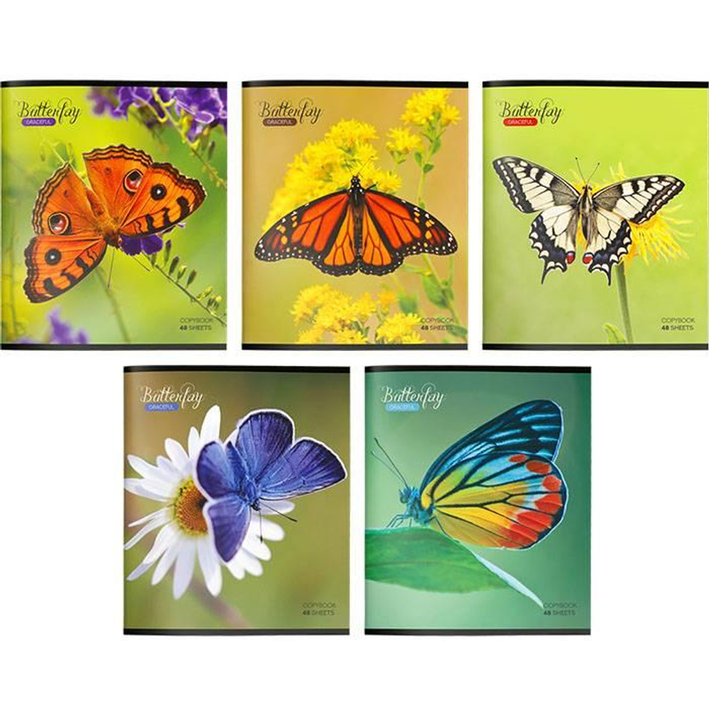 Тетрадь А5 48л. клетка "Бабочки" офс.№2 в ассорт. (Creativiki)