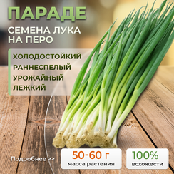 ПАРАДЕ семена лука на перо (Bejo | Alexagro)