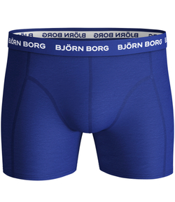 Мужские спортивные боксеры Björn Borg Shorts Sammy BB LA Flower - surf the web
