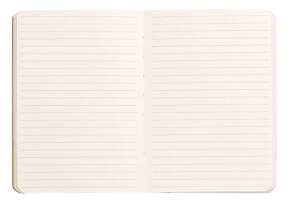 Записная книжка Rhodiarama в мягкой обложке A5 линейка (117403C) 2