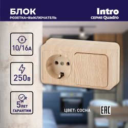 Блок розетка с выключателем Intro Quadro 2-701-11 одноклавишным горизонтальный 10А-250В, IP20, ОУ, сосна
