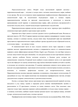 Сегментарный массаж | О. Глезер; В.А. Далихо