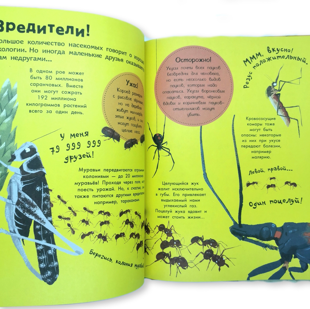 Моя большая книга обо всём на свете