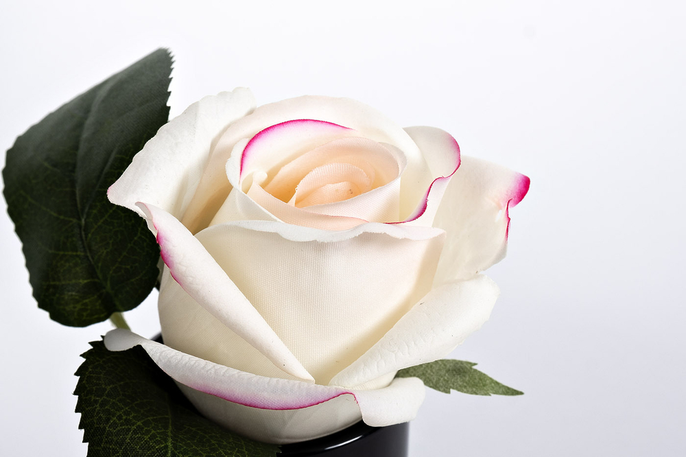 96СN-RB42 Диффузор Rose Bud Pink, спрей Rose Petal 5мл в упак.