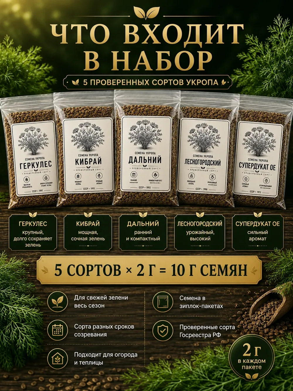 Набор семян укропа СССР 5 проверенных сортов
