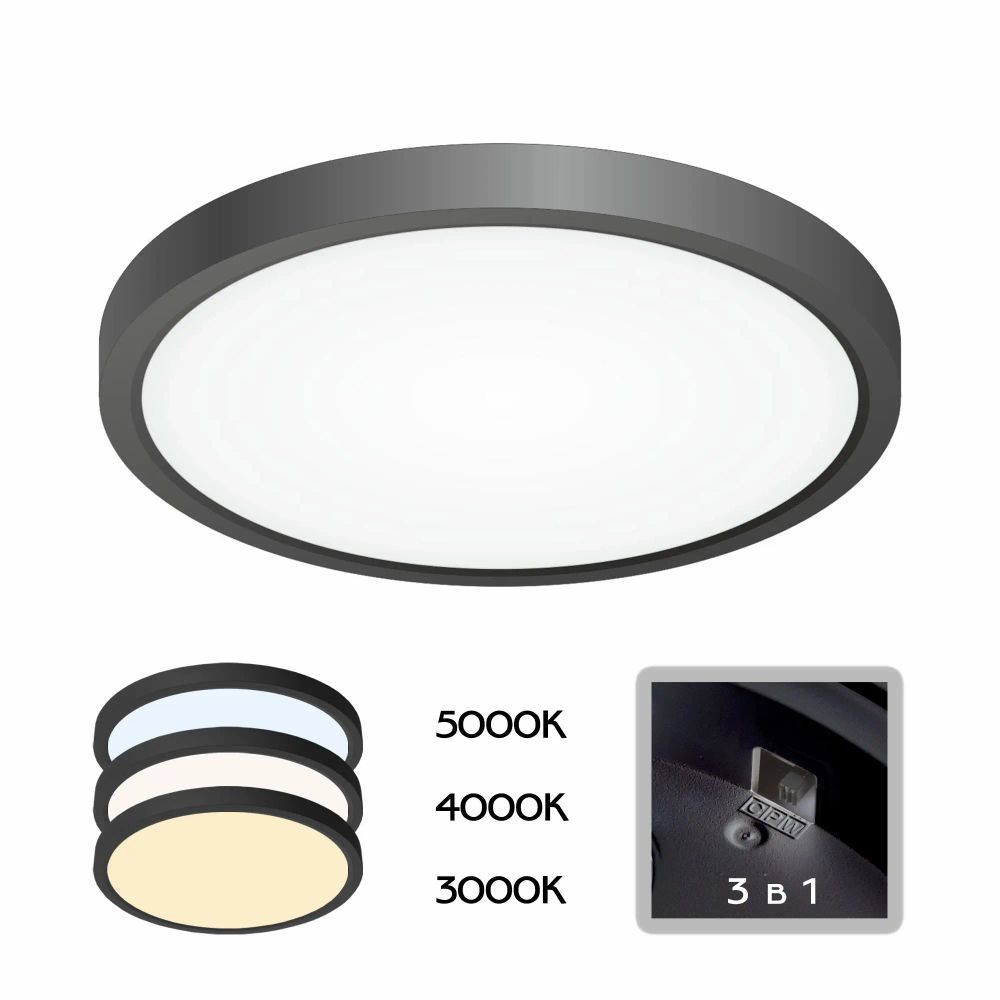 Citilux Бейсик CL738181V Светильник накладной Чёрный