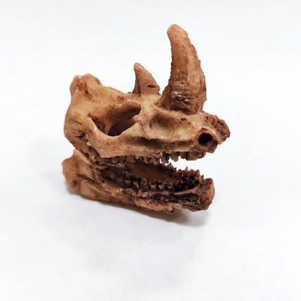 Череп доисторического носорога
