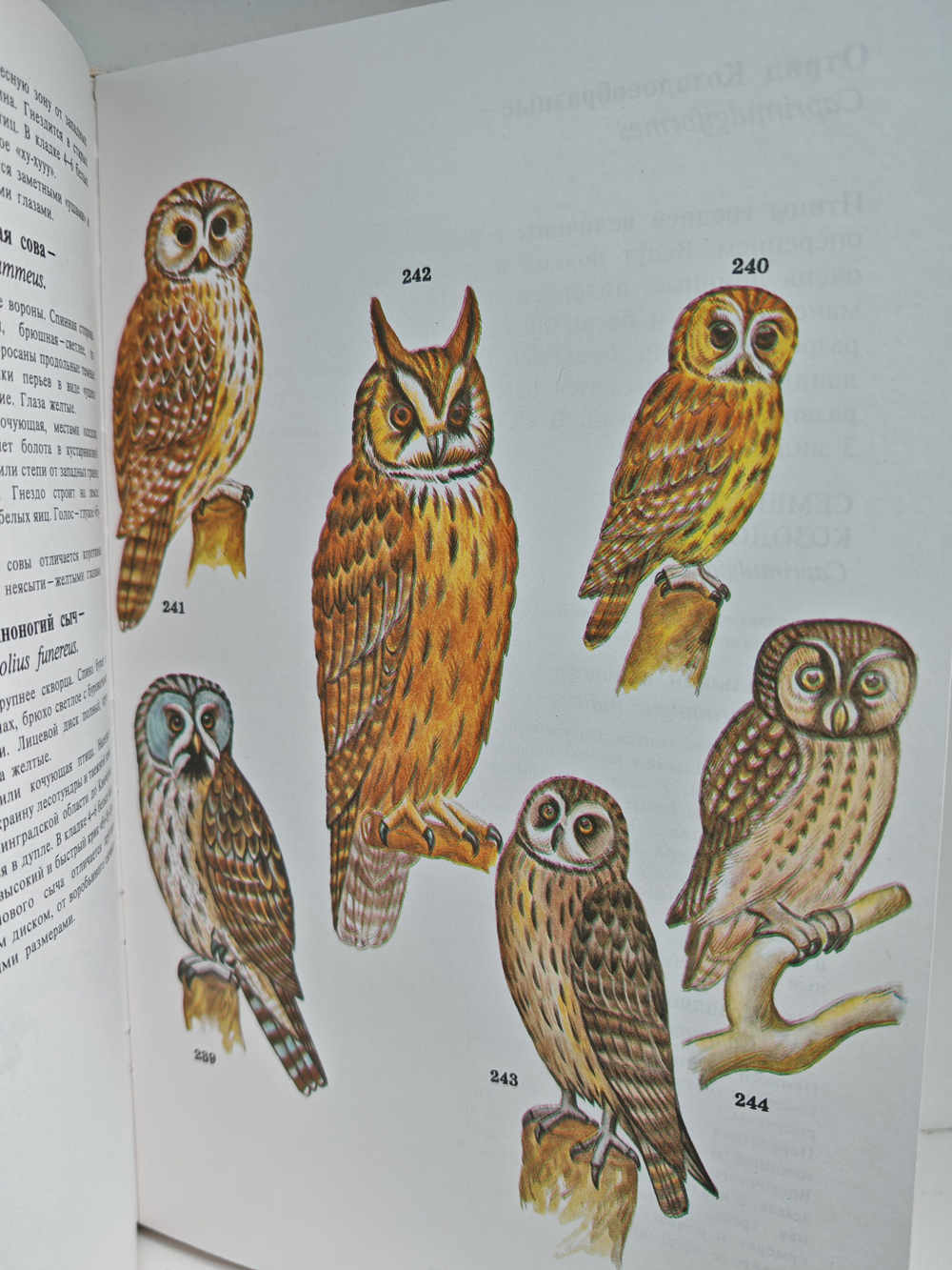 Школьный Атлас-определитель птиц