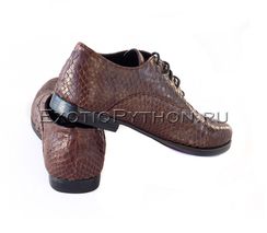 Мужские туфли из кожи питона SH-133