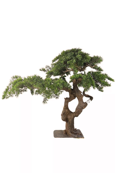 Бонсай - 120 см