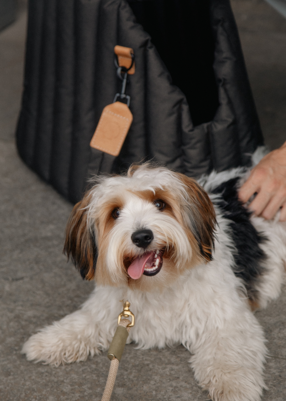 Сумка-переноска Пони коричневая