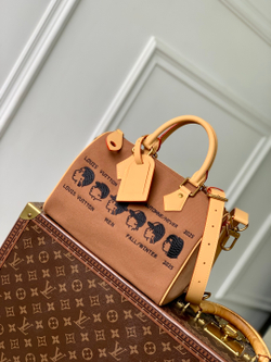Louis Vuitton Speedy 25