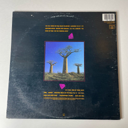 Винтажная виниловая пластинка LP Pink Floyd Delicate Sound Of Thunder (USA 1988)