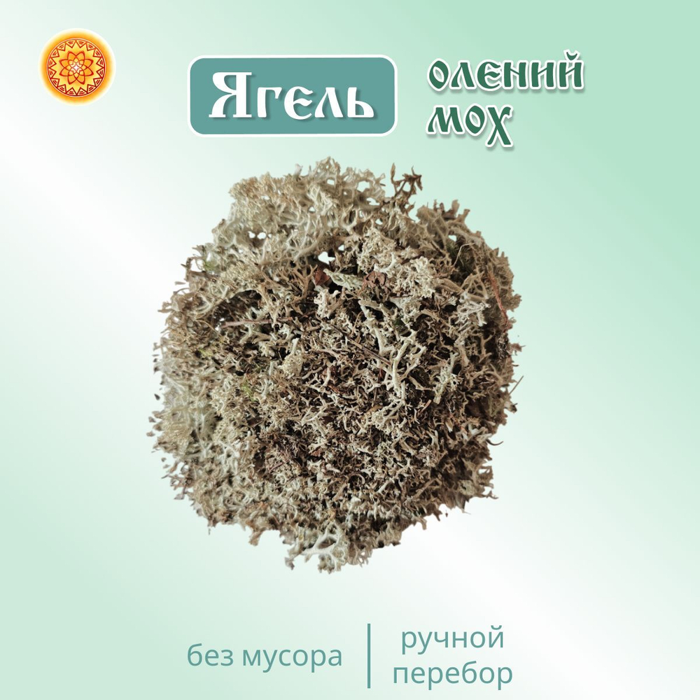 Исландский мох цетрария, 100 г.