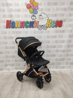 Коляска прогулочная Rant Basic Vortex Black