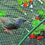 Сетка от птиц 2*5м