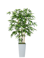 Искусственное растение Бамбук темно-зеленый 130 см в высоком белом кашпо 36 см