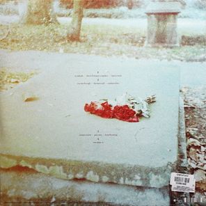 The Pineapple Thief / Variations On A Dream (2LP)
