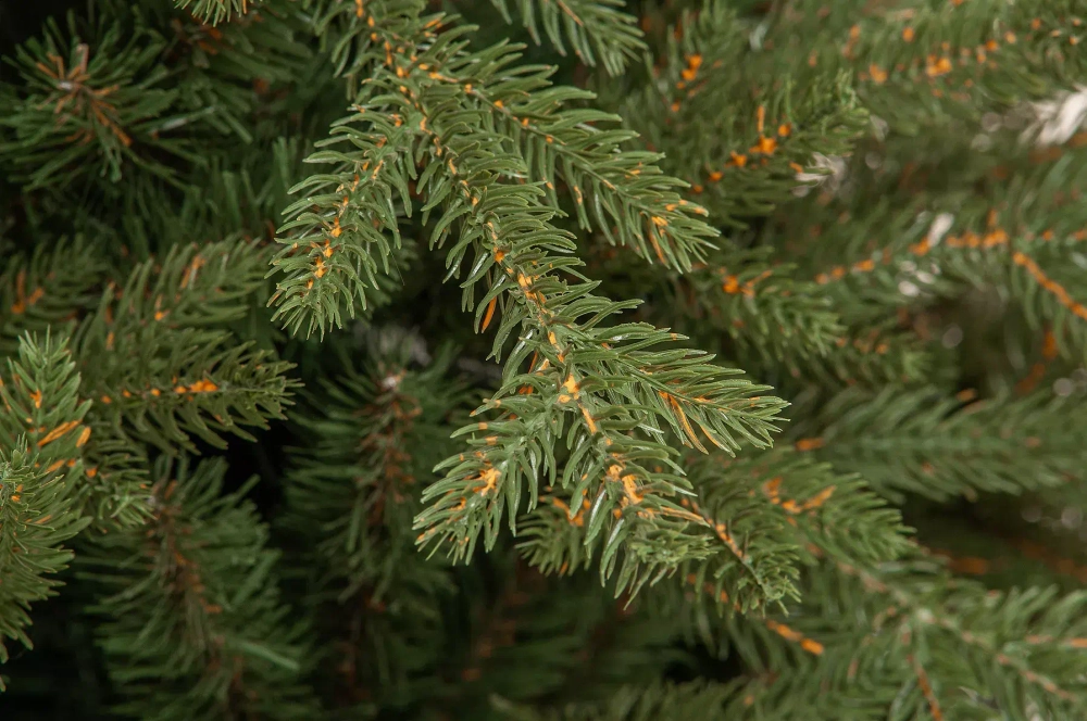 Искусственная елка Имперская 210 см., литая хвоя+ПВХ, ЕлкиТорг (144210)