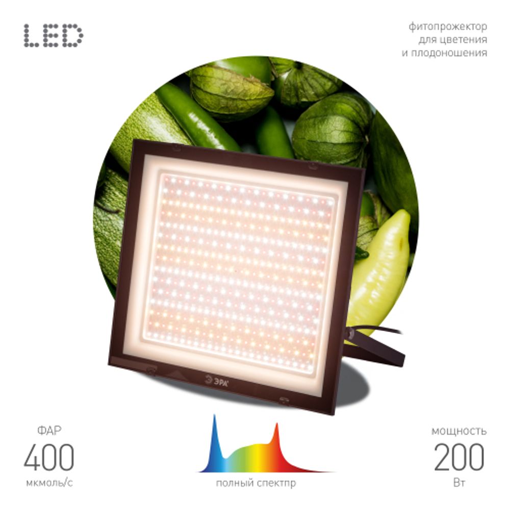Фитопрожектор для растений светодиодный ЭРА FITO-200W-Ra90-LED полного спектра, профессиональный 200 Вт