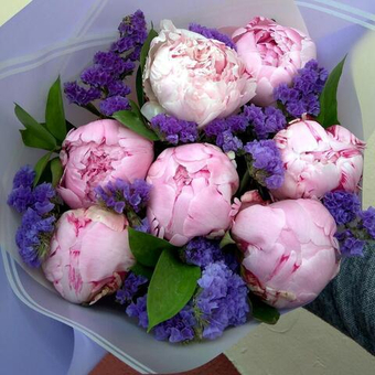 Букет 7 пионов Сара Бернар со статицей