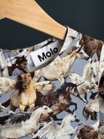 Хлопковое платье Molo, 98