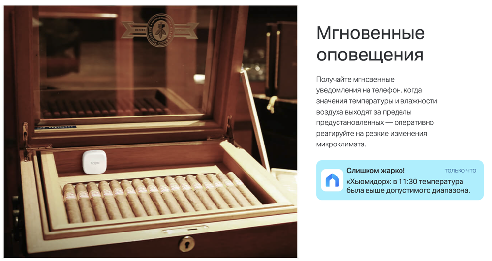 Датчик температуры и влажности TP-Link Tapo T310
