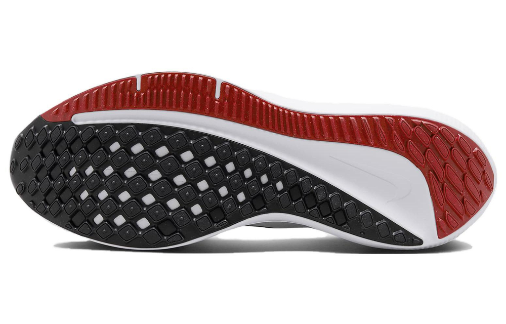 Кроссовки Nike Air Winflo 10